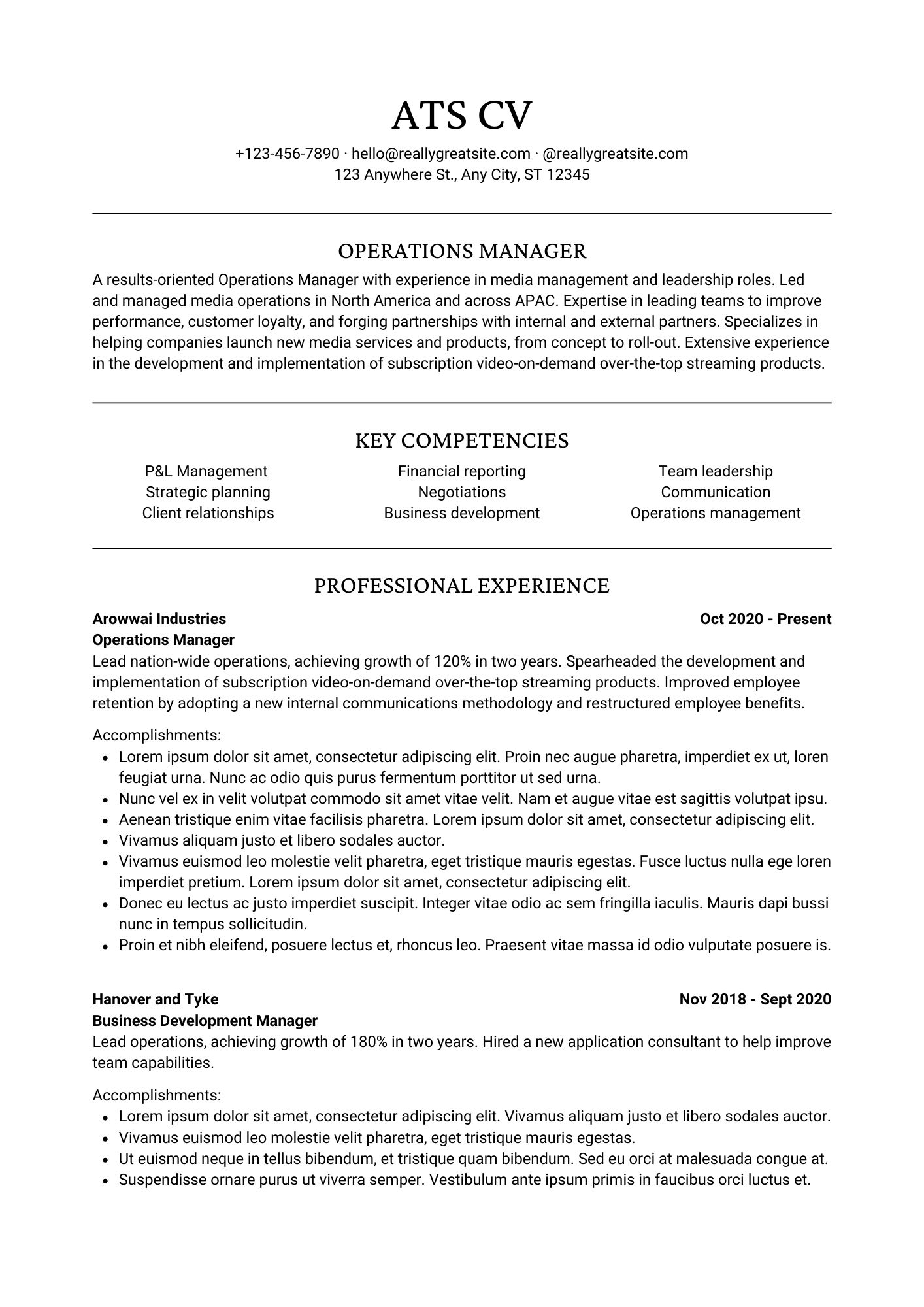 Professional ATS CV